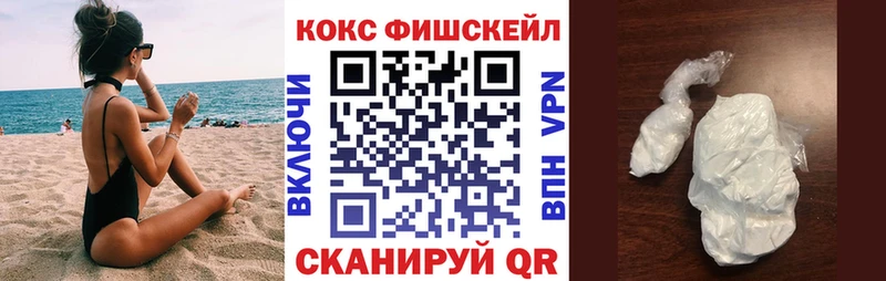 Купить закладки  Спасск-Дальний  КОКАИН Fish Scale 